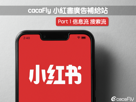 小紅書|cacaFly 帶你認識小紅書信息流和搜索流廣告