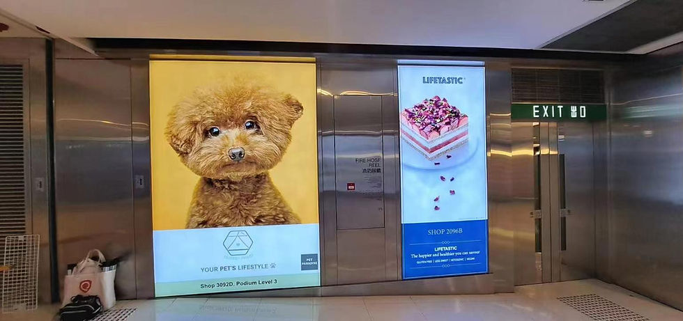 2306OUT15617 IFC軟膜燈布安裝 (2).jpg