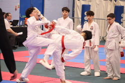 Aikido Takedown