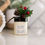 Thumbnail: Whipped Body Butter