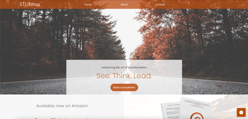 SF Homepage 1-min.png