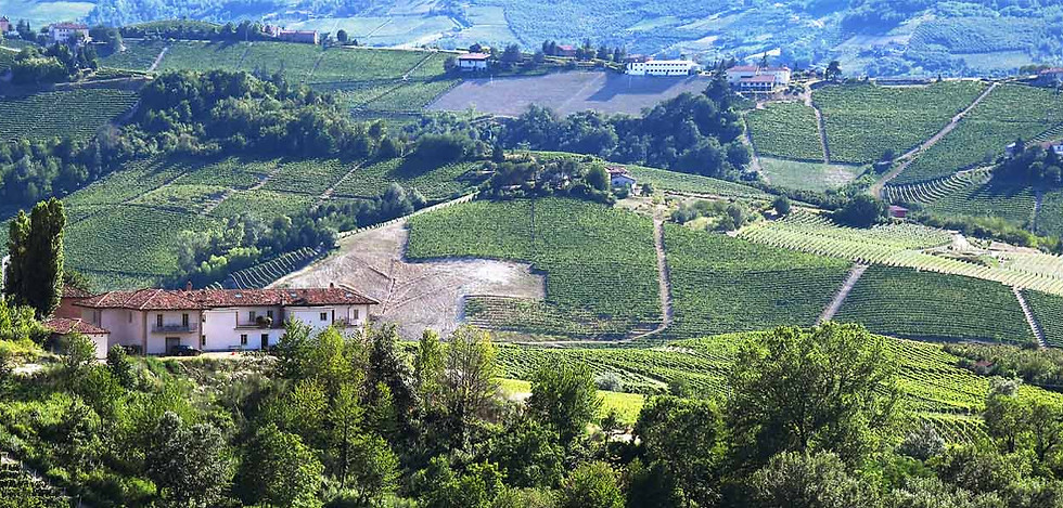 Cascina_Alberta_Landscape_1S.jpg