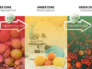 Reducing Collateral Waste in Fresh Produce: Why Fear-Based Decisions Are Costing Suppliers Millions