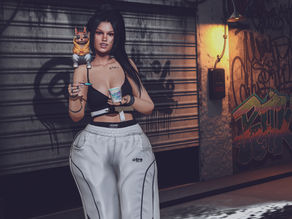Bronx Disstrict