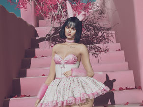 Bunny