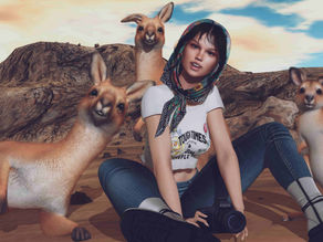 Kangaroos!!!