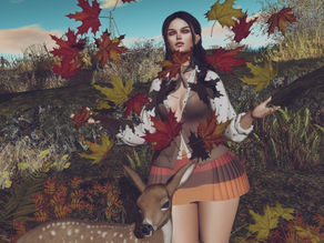 Happy Autumn