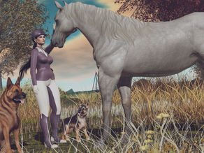 English Rider