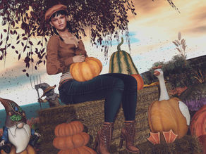 Pumpkin Mood