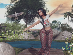 Daisy Pond