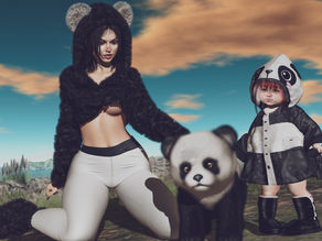 Pandas
