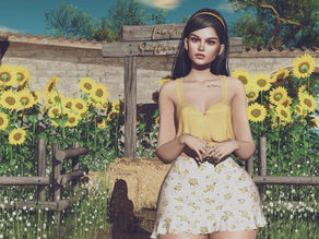 Sunflower Garden