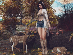 Autumn walk