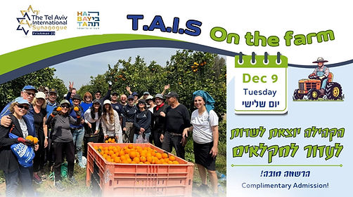 התנדבות לחקלאות.jpg