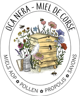 LOGO_OCA_NERA_100MMx83MM_RVB_300DPI.png