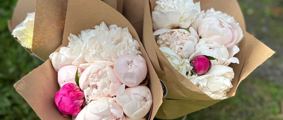 Peony Bouquet