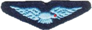 AirForce Eagle.png