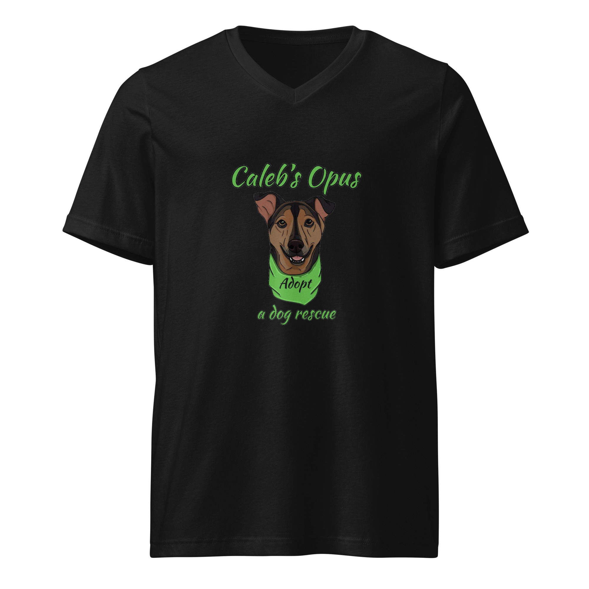 Unisex Short Sleeve V-Neck T-Shirt