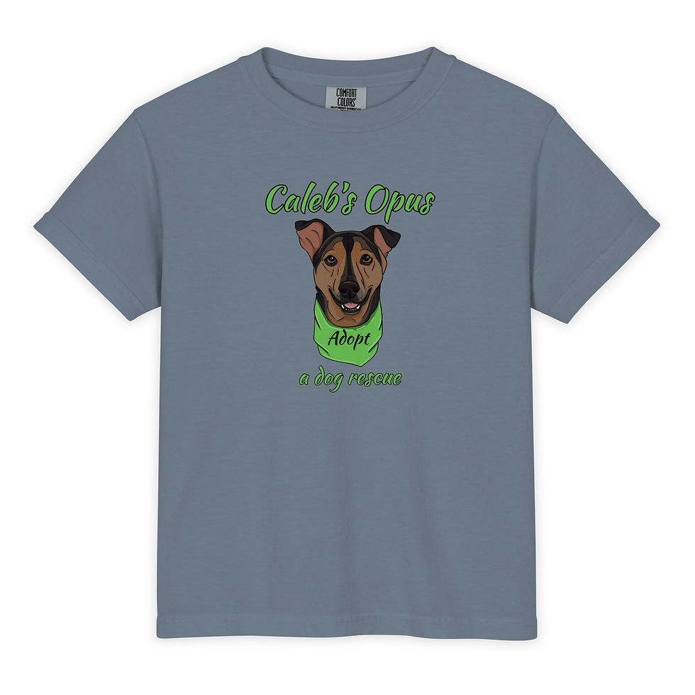 Thumbnail: Youth Garment-Dyed Heavyweight T-Shirt - Comfort Colors 9018