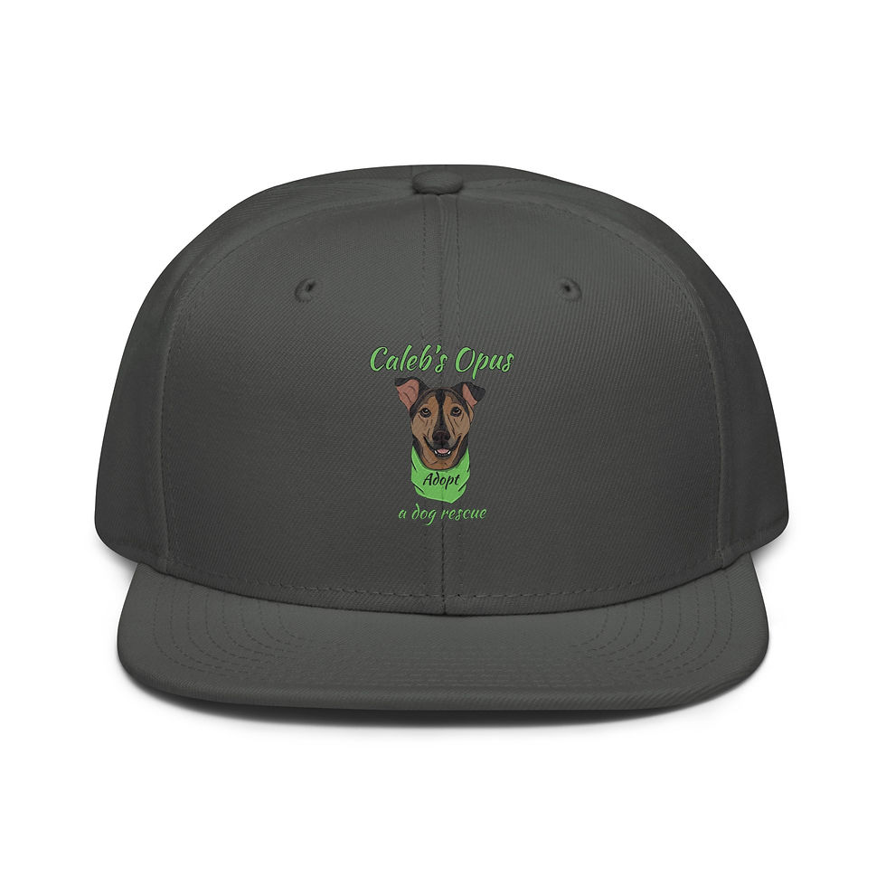 Thumbnail: Snapback Hat