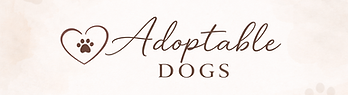 Adoptable Dogs.png