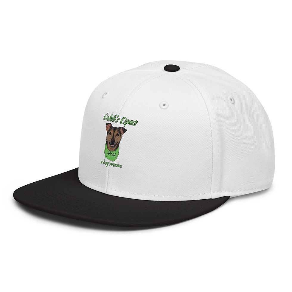 Thumbnail: Snapback Hat