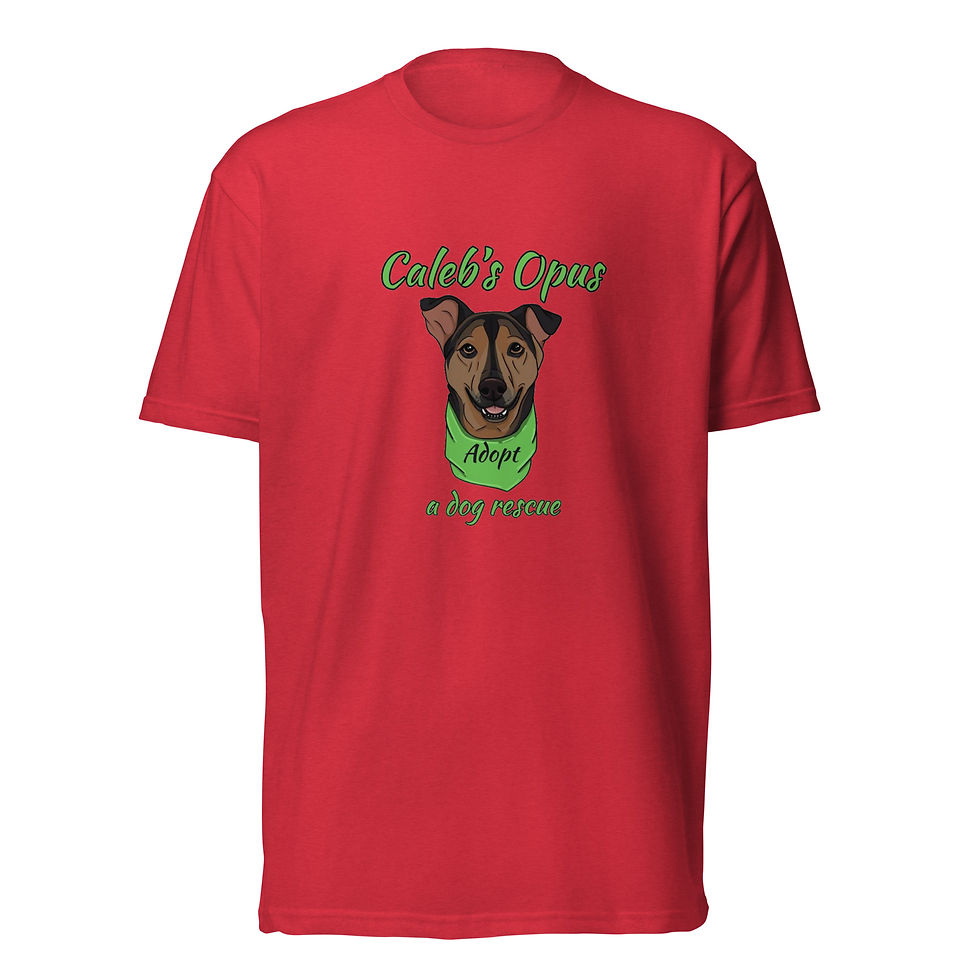 Thumbnail: Unisex Fitted T-Shirt - Next Level 6210
