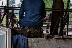 wwoof_0081_equi24
