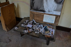 wwoof_0032_DSC_0076