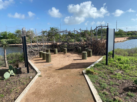 STEC South Texas EcoTourism Center
