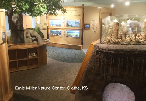 Ernie Miller Nature Center Olathe