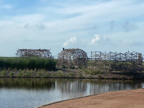 STEC South Texas EcoTourism Center
©️ Clarke Design 2022
