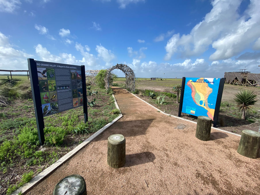 STEC South Texas EcoTourism Center
