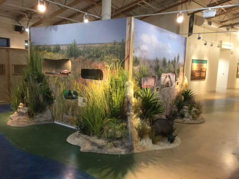 Valley Nature Center Weslaco