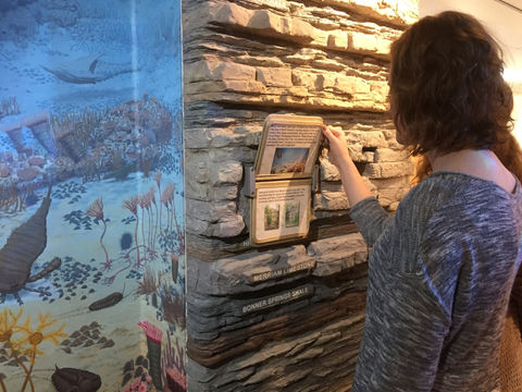 Ernie Miller Nature Center Olathe