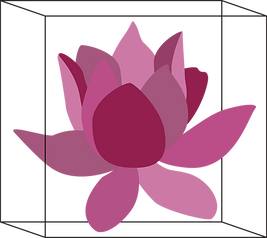 LotusLogo.png