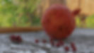Pomagranet.jpg
