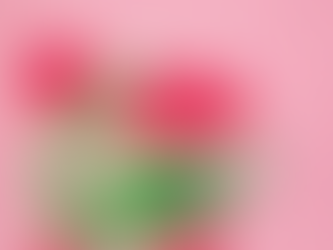 A Horse Named Lolly Pop & Watermelon Make Summer Sweet