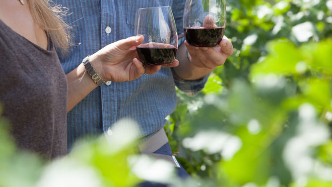 Cheers To A Perfect Pairing!