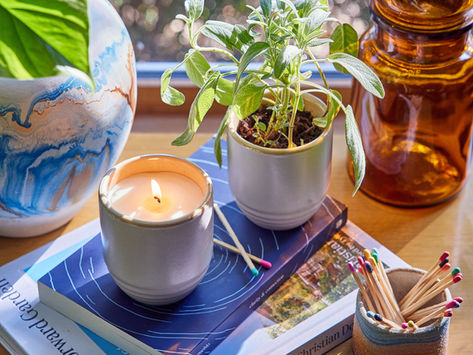 What's Important About Sprouting New Ideas?