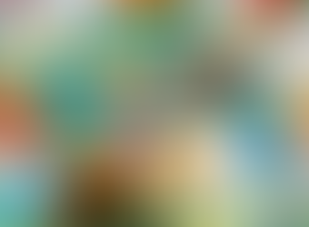 Consumer Interaction, The Ultimate Brand Experience