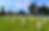 Untitled design.png