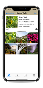 Screen Shot 2019-04-01 at 3.42.12 PM_iph