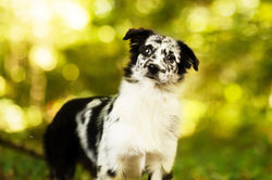 _28092025-_H9A2126-web