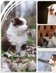 New Phototastic Collage.jpg