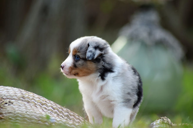 5ème semaine (5).JPG