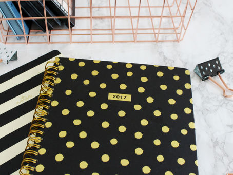 2017 Goals | 6 Month Check-in