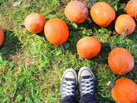 My Autumn Essentials