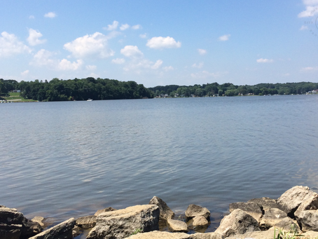 My Summer Bucket List