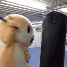 bobatyun-chiitan2.gif